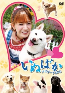 映画「いぬばか」ナビゲートDVD(中古品)