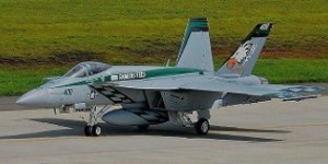 ハセガワ 1/72 F/A-18E スーパーホーネット “チッピーHo(中古品)