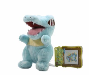 ポケモンセンターオリジナル ポケモンキャンバスぬいぐるみ ワニノコ(中古品)