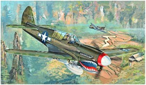 トランペッター 1/32 P-40N キティホーク プラモデル 02212(中古品)