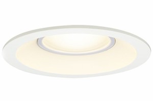 東芝ライテック LEDダウンライト 浴室 アウトドア LED一体形 電球色 60W φ（中古品）