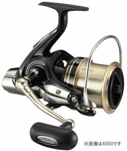 ダイワ(Daiwa) スピニングリール 17ウインドキャスト 4000(中古品)