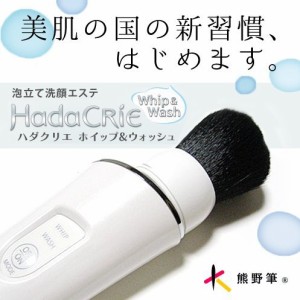 日立 ハダクリエ ホイップ&ウォッシュ 泡立て洗顔エステ WB-K01-W パールホ(未使用未開封品)