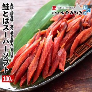 お試し版登場！ 鮭とば 100g 1袋 さけ サケ トバ さけとば 鮭トバ サケトバ つまみ おつまみ 酒の肴 珍味 送料無料 取り寄せ ギフト