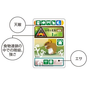 大人気 まとめ アーテック 食物連鎖カードゲーム 5セット 小学校 中学校 高校向けお買い得セット 実験キット 被り心地最高 Southerncollegeofhealthsciences Com