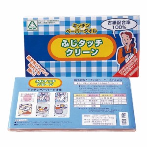 ふじタッチクリーン キッチンペーパータオル10枚 (54007) 単品