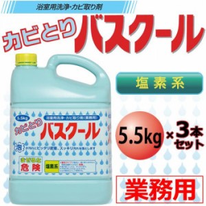 業務用 浴室用洗浄・カビ取り剤 カビとりバスクール 5.5kg 3本セット 234035