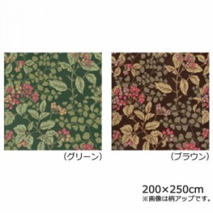川島織物セルコン ジューンベリー マルチカバー 200×250cm HV1019S BR・ブラウン