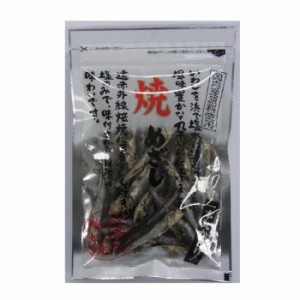 小倉秋一商店 焼めざし 69g×10セット