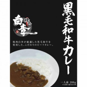 焼肉白李監修 黒毛和牛カレー 10食セット