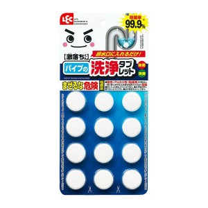 レック GN黒カビくんパイプ洗浄タブレット12P