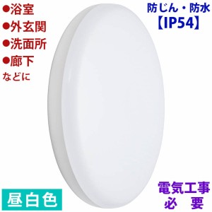 LED浴室灯(1650lm/15W/昼白色/LED一体型/要電気工事) (LT-F5415KN)