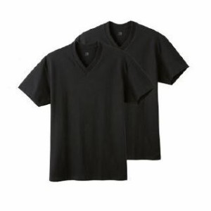 GUNZE(グンゼ) YG/COTTON Tシャツ2P VネックTシャツ [全2色×3サイズ]