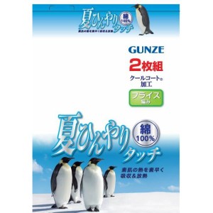 GUNZE(グンゼ) 涼感平台/V首スリ-ブレスシャツ [(03)ホワイト][LL]