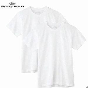 GUNZE(グンゼ) BODY WILD/STANDARD Tシャツ [全3色×3サイズ]