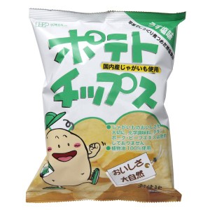 ポテトチップス うす塩味 単品