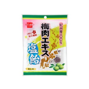 梅肉エキス塩飴 70g 単品