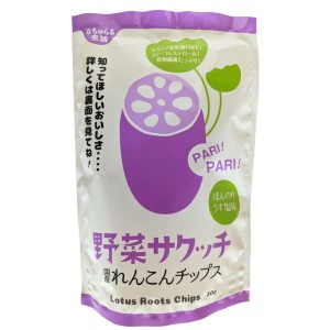 野菜サクッチ 国産れんこん 30g 単品