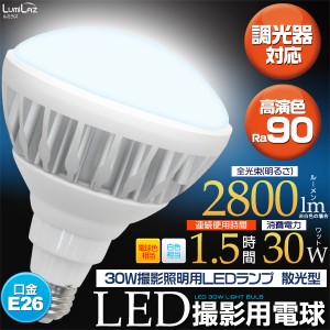 [LED電球・蛍光灯] 30W撮影照明用LEDランプ 散光型