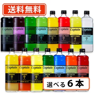 キャプテン　中村商店 キャプテン シロップ 600ml 選べる6本セット バー かき氷　【送料無料(一部地域を除く)】