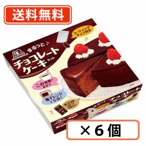 森永 チョコレートケーキセット 205ｇ×6個　【送料無料(一部地域を除く)】