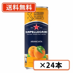 サンペレグリノ イタリアンスパークリングドリンク アランチャータ（オレンジ）330ml×24缶 日仏貿易 送料無料(一部地域を除く)