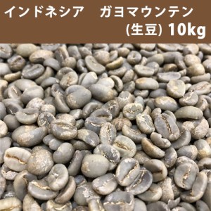 コーヒー 生豆 インドネシア ガヨ マウンテン 10ｋｇ(5ｋｇ×2)　送料無料(一部地域を除く) 【同梱不可】