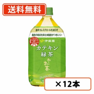 伊藤園 お〜いお茶 カテキン緑茶 １L　PET×12本　カテキン緑茶　ペットボトル　送料無料(一部地域を除く)