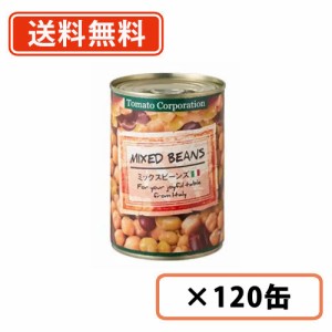 トマトコーポレーション ミックスビーンズ 400ｇ×120缶（24缶入×5ケース） トマトコーポレーション　※店舗・会社宛のみ配送可能※　送