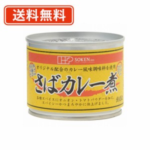 創健社 さばカレー煮 190g×24缶　送料無料(一部地域を除く)