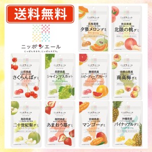 全農  ニッポンエール ご当地グミ 人気の10種類セット（40g×各1袋） グミ 国産果汁 夕張メロン シャインマスカット マンゴー 送料無料/