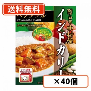 新宿中村屋 インドカリー ベジタブル 190g×40個 カレー レトルトカレー curry 野菜 スパイス 電子レンジ調理可　送料無料(一部地域を除