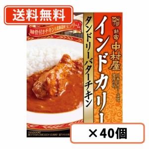 新宿中村屋 インドカリー タンドリーバターチキン 180g×40個 カレー レトルトカレー curry バターチキンカレー 送料無料(一部地域を除く