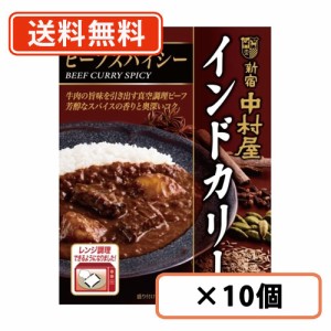 新宿中村屋 インドカリー ビーフスパイシー 200ｇ×10個 カレー レトルトカレー curry ビーフカレー スパイス 電子レンジ調理可　送料無