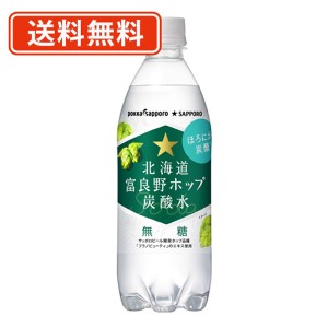 北海道富良野ホップ炭酸水 500ml×24本　ポッカサッポロ ホップ 炭酸水 　【送料無料(一部地域を除く)】