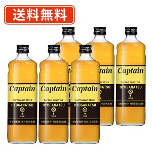 キャプテンシロップ 日向夏 600ml×6本　キャプテン 中村商店 かき氷 ソーダ 割り材 カフェ　送料無料(一部地域を除く）