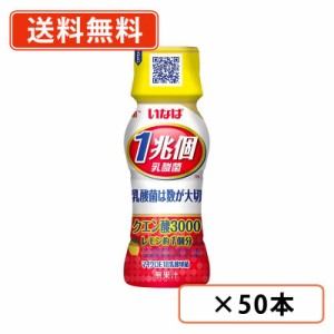 いなば食品 すごい乳酸菌 クエン酸3000　65ml×50本　ペットボトル PET 乳酸菌飲料 クエン酸　送料無料(一部地域を除く)