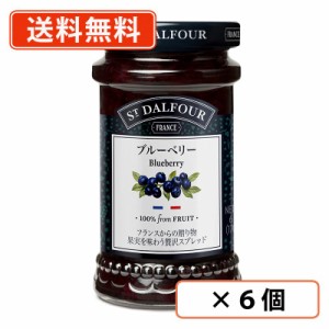 サン・ダルフォー フルーツスプレッド ブルーベリー 170g×6個　ジャム 砂糖不使用 保存料不使用 St. Dalfour 　送料無料(一部地域を除く