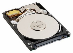 日立GST 2.5インチ 内蔵HDD 250GB HTS545025B9SA00 (SATA/5400rpm/8MB/9.5m(中古品)