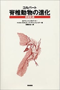 【中古】 脊椎動物の進化