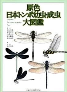 ☆新訂☆ 原色昆虫大圖鑑 III（新訂原色昆虫大図鑑』など図鑑