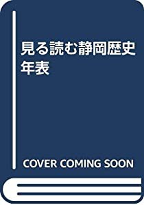 見る読む静岡歴史年表(中古品)