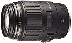 Canon 単焦点マクロレンズ EF100mm F2.8 マクロ USM フルサイズ対応(中古品）