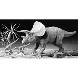タミヤ 1/35 恐竜世界シリーズ No.04 トリケラトプス 情景セット プラモデル 60104(中古品)
