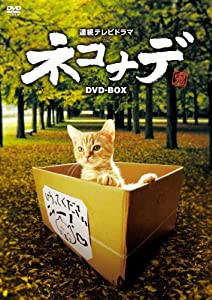 連続テレビドラマ ネコナデ DVD-BOX(4枚組)(中古品)