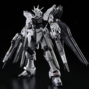 (中古品)RG 1/144 ZGMF-X20A ストライクフリーダムガンダム ディアクティブモード プラモデル（プレミアムバンダイ限定）(中古