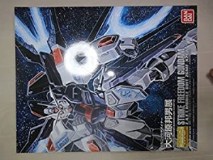 (中古品)MG 1/100 ストライクフリーダムガンダム メカニックデザイナー 大河原邦男展Ver. プラモデル(メカニックデザイナー 大