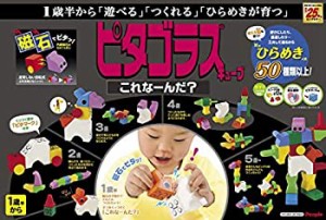 【中古】ピタゴラスシリーズ ピタゴラスキューブ これな~んだ? 20パーツ PGS-322