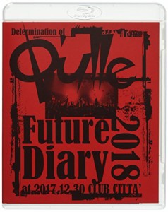 Determination of Q'ulle「Future Diary 2018」 at 2017.12.30 CLUB CITTA'（未使用品）