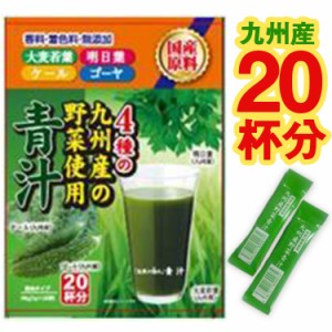 九州産野菜使用 自然の極み 青汁 20包×1箱 